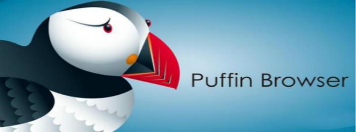 puffin浏览器入口官网图标