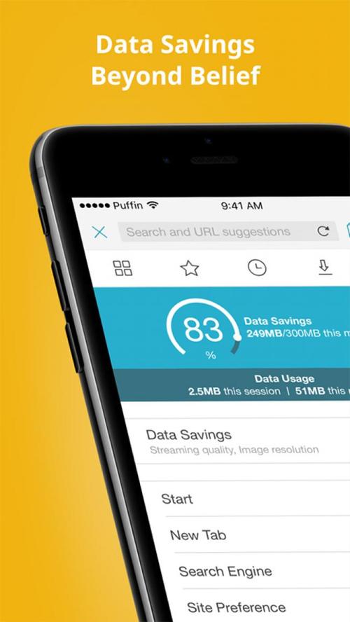 puffin浏览器入口官网