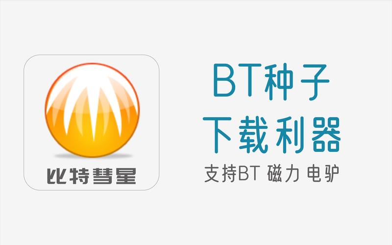 BT种子工具大全