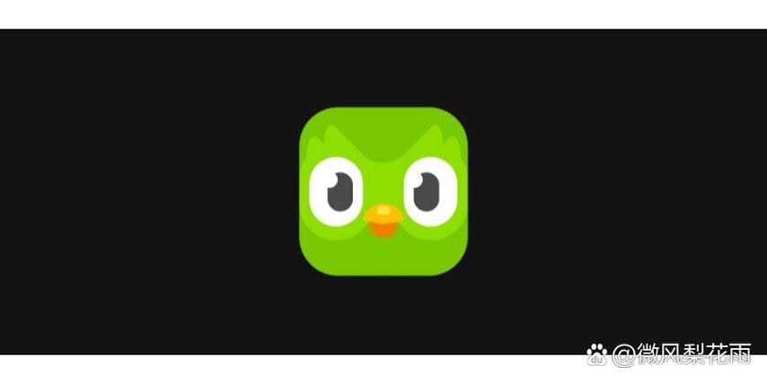 多邻国iPhone版安卓