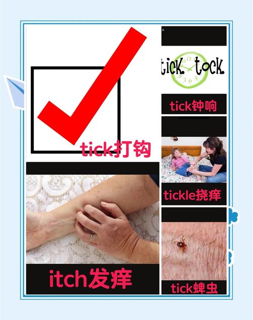 tk痒痒游戏安装入口在哪解锁全部书源