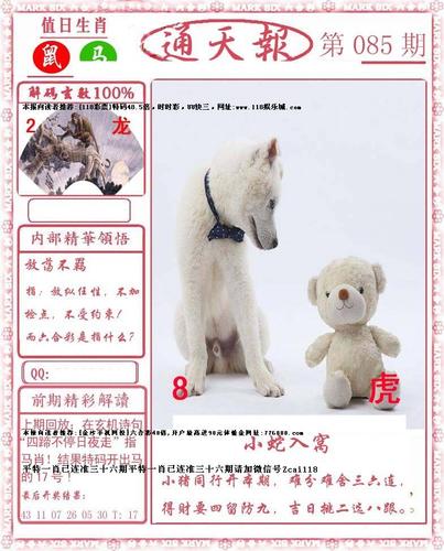 小喜通天报大型图库辅助软件