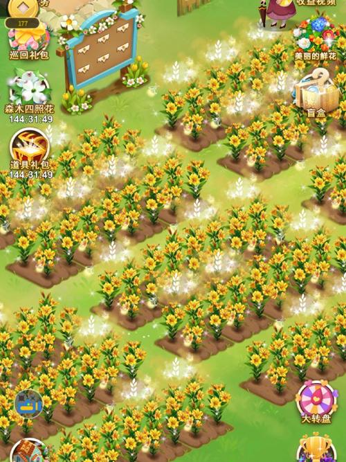 鲜花小镇无限钻石版2023无限流量