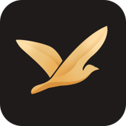 海鸥加速器免费版手机正版
