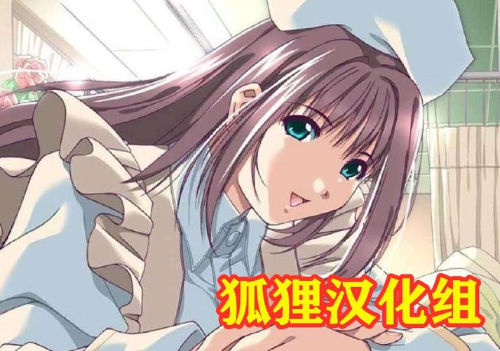 狐狸汉化组的20部直装游戏无付费最新版