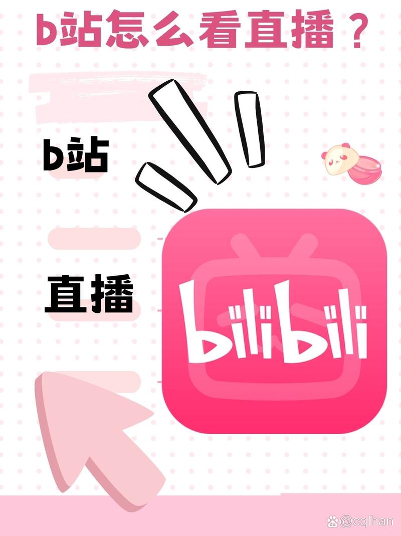 无需付费看直播b站的网站免费无限制版