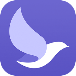 飞鸟加速器安卓