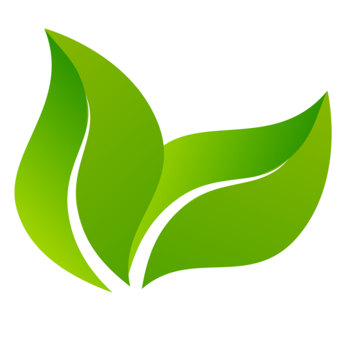 迅雷5绿色经典版最新版本更新内容介绍