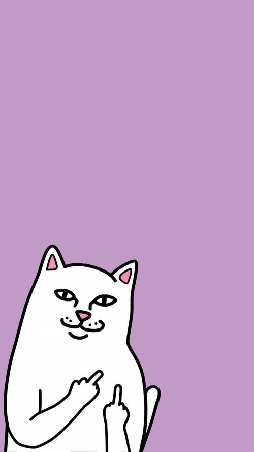 拷贝漫画2023紫色版