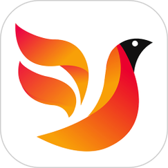火焰鸟官方净化版
