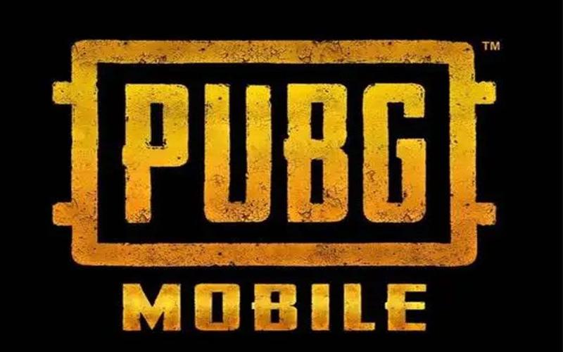 pubg体验服挂图标
