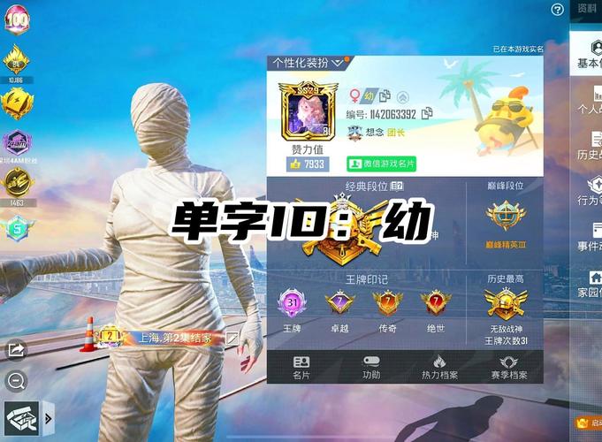 数据号和平精英无限制版