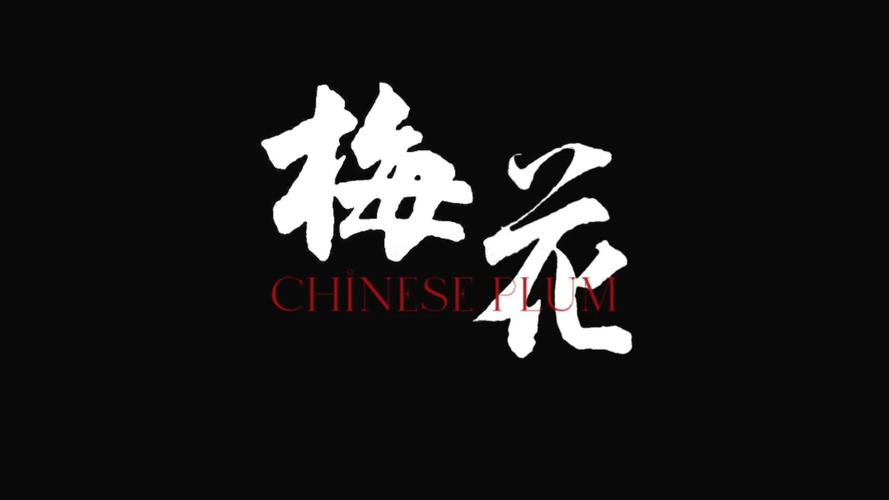 梅花视频破解版