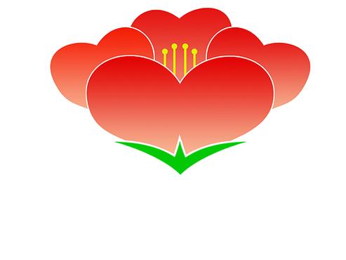 海棠转海棠赚福利