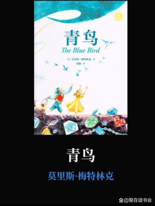 青鸟免费小说安装