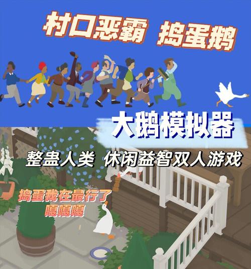 无名大鹅双人模式