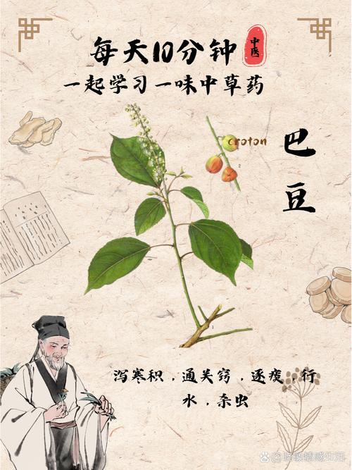 巴豆阅读手机版