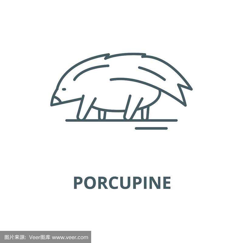 豪猪网赚钱安全