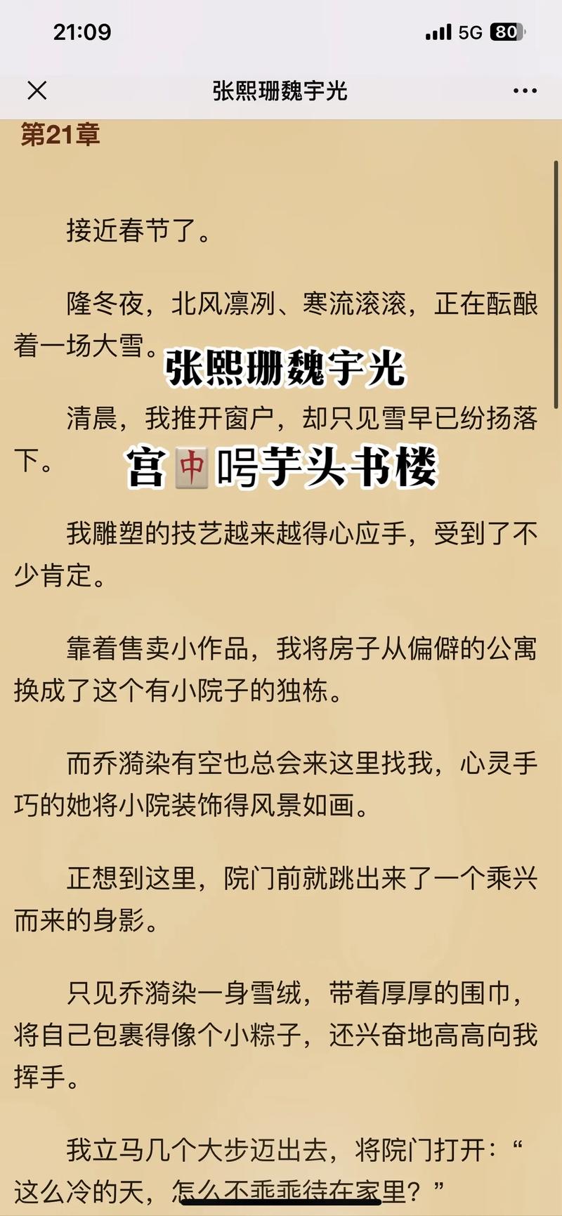 窗光小说