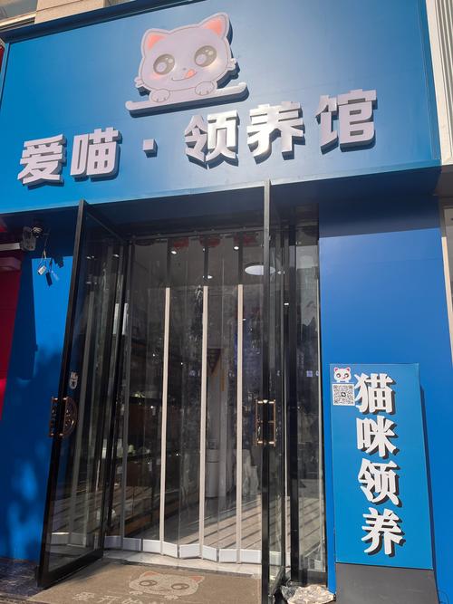 无忧小院养猫版