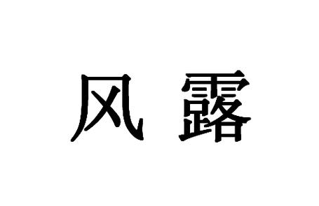 风露小说