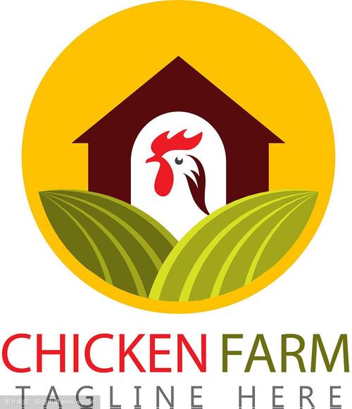 母鸡庄园母鸡养成