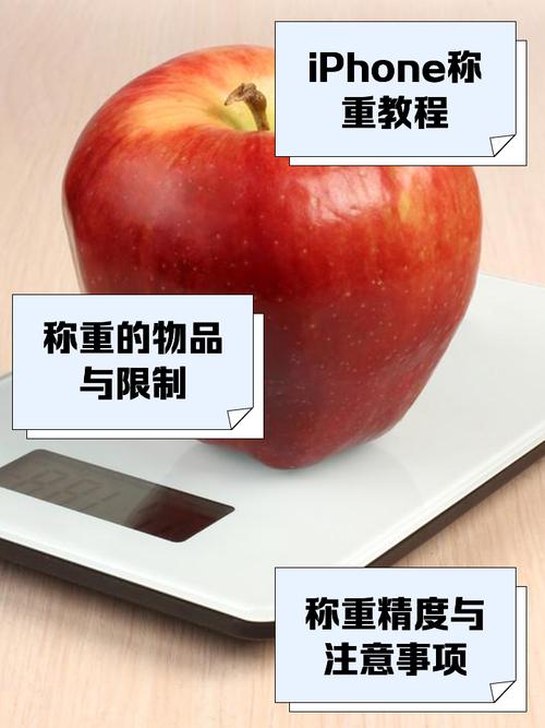 touchscale屏幕电子秤中文版