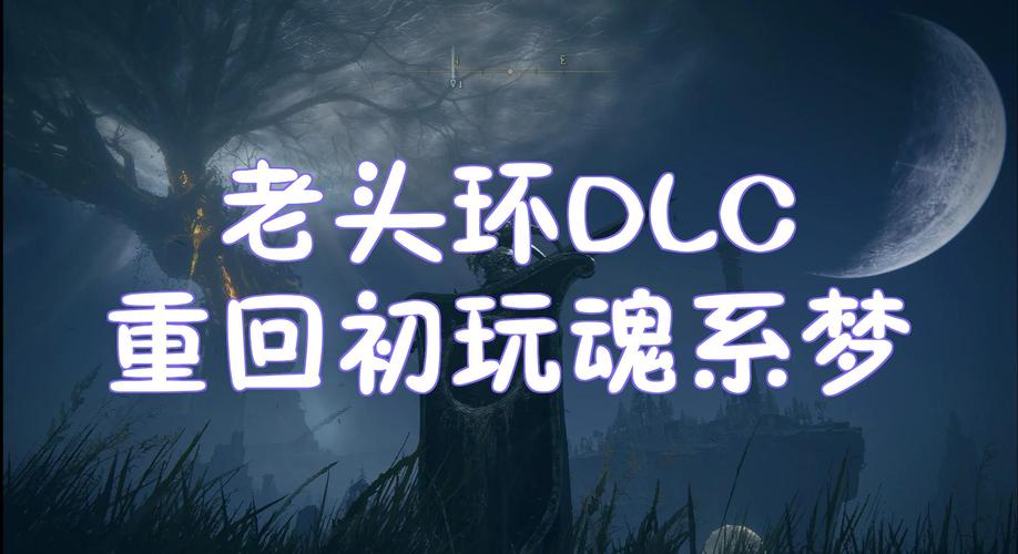 老头环DLC