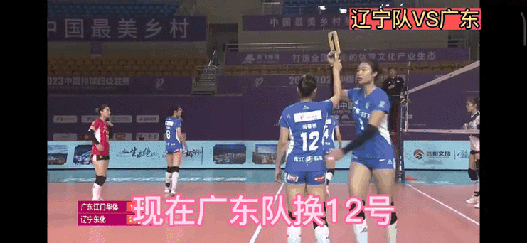 看女排联赛直播app