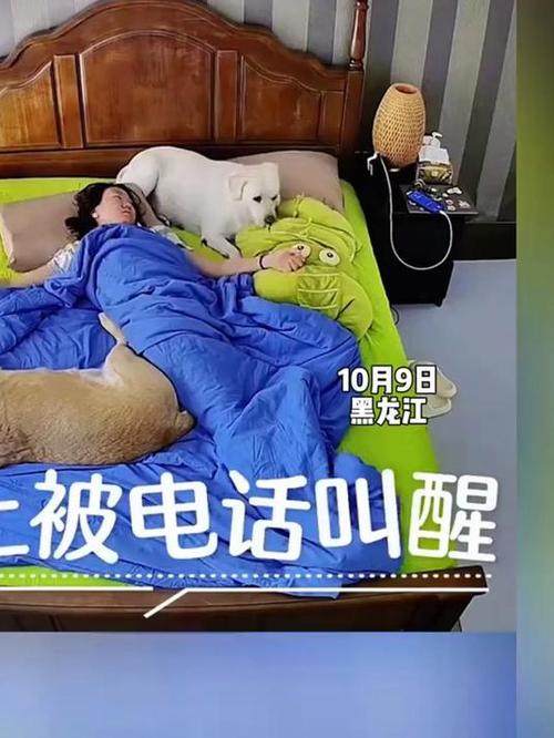 睡觉发出怪声把自己吵醒了图标