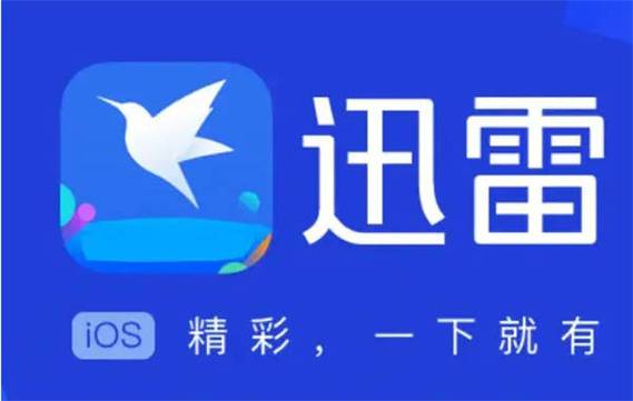 迅雷哪一版最好用