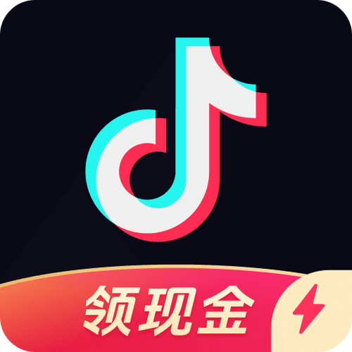 抖一首极速版图标