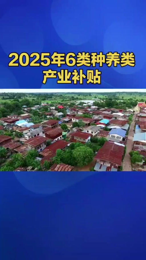养猪补贴政策
