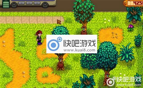 星露谷物语橡树树脂怎么获得