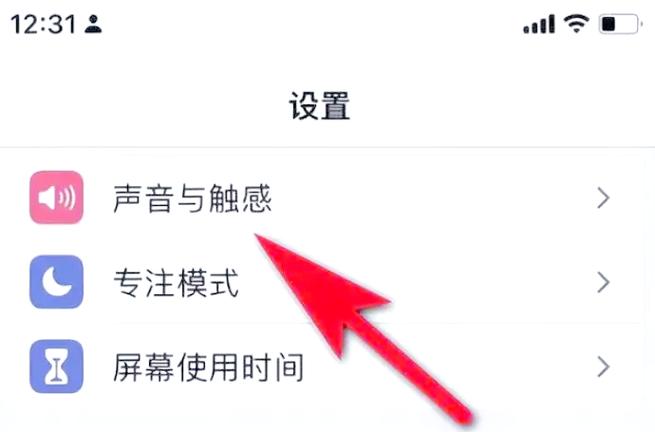 苹果手机怎么去掉按键声音