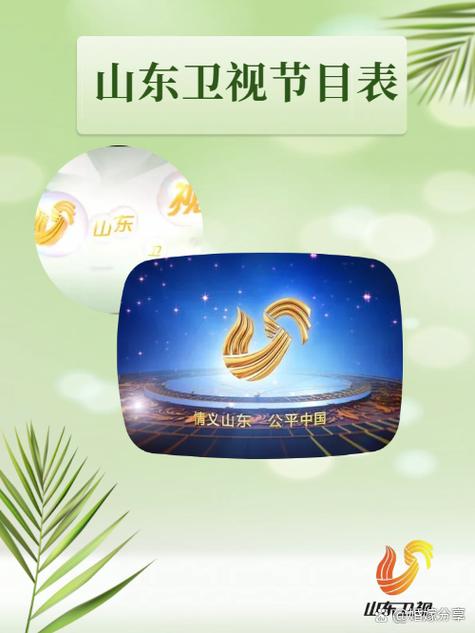 山东卫视今晚节目表(全部)图标