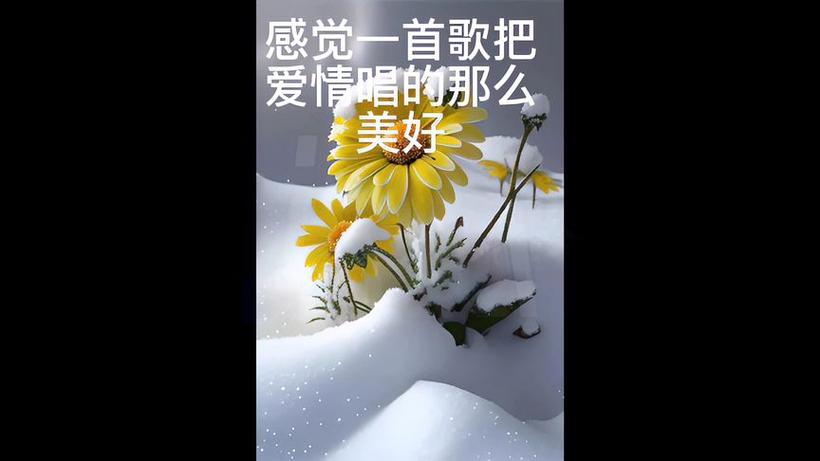 抖明视频