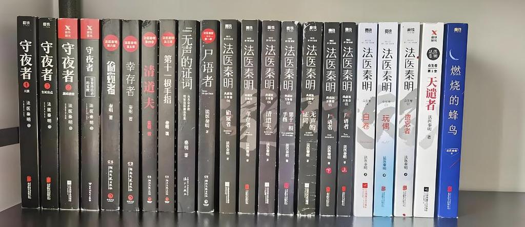 刑侦破案推理小说推荐