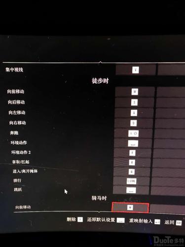 pc荒野大镖客按键