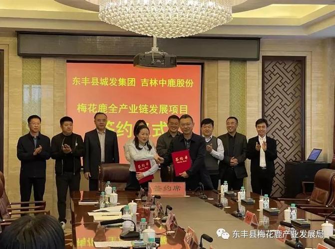 中鹿股份有限公司