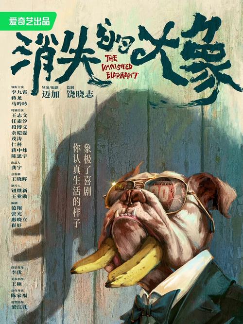 大象影视免费观看电视剧大全