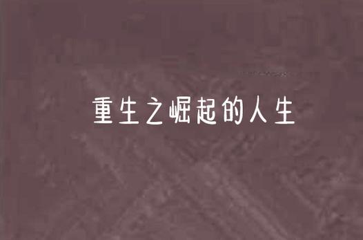 重生之崛起人生