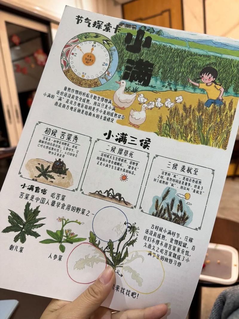 小满科技是干嘛的