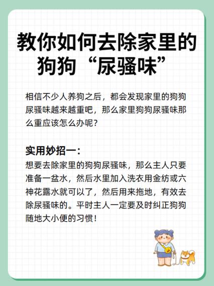 狗狗有味道怎么消除图标