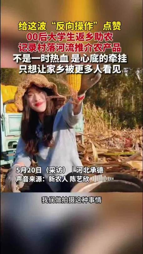 返回乡村小说