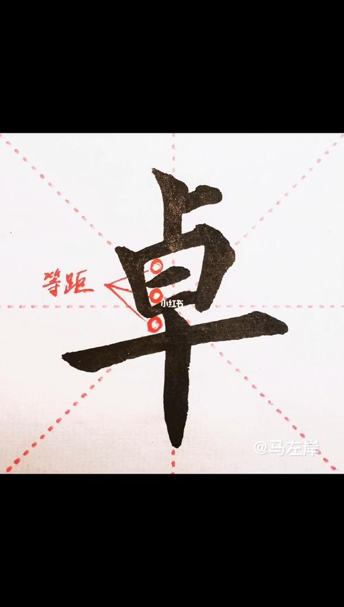 animator安卓下载图标