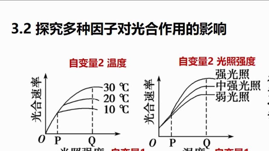 光强和能量的换算关系