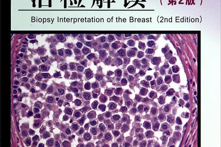 活检和病理是一回事吗