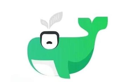 小绿鲸安卓下载