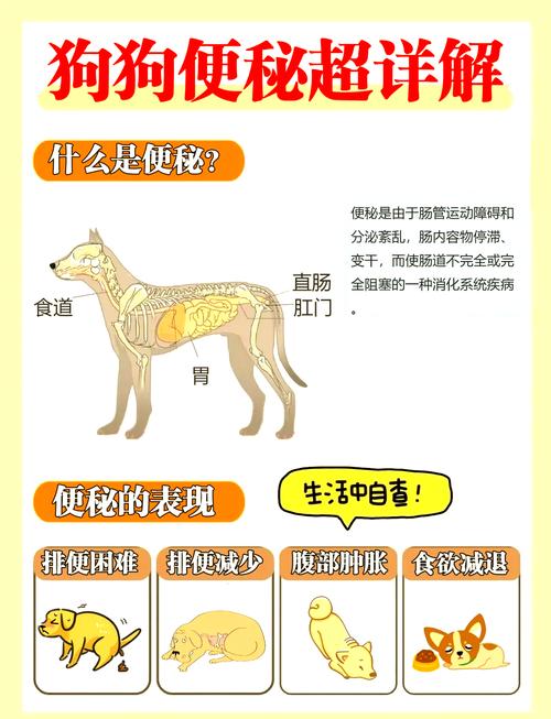 狗狗便秘怎么办图标